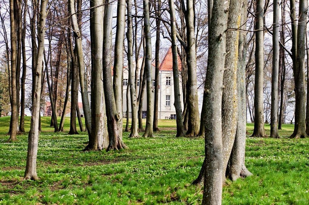 Villa Zespol Palacowy Pacoltowo Na Wylacznosc Exterior foto